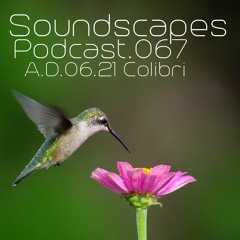 Soundscapes Podcast 067 Colibri