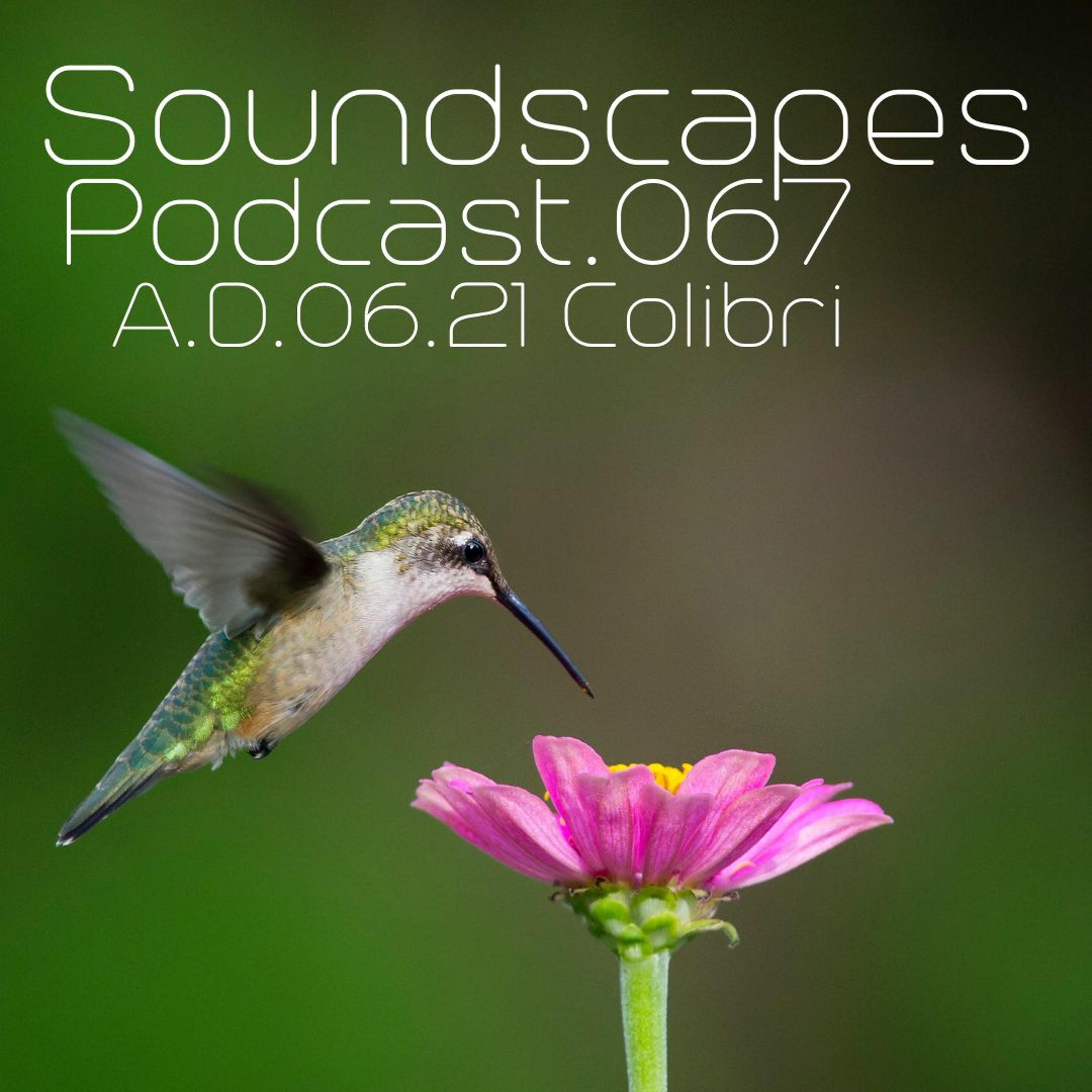 Soundscapes Podcast
