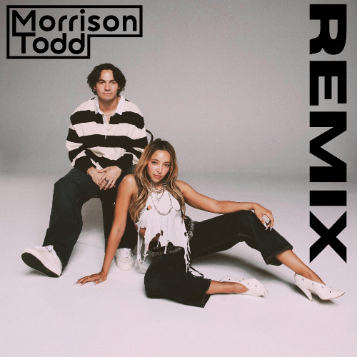 Disco Lines x Tinashe No Broke Boys (Morrison Todd Remix)