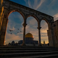 سوف نبقى هنا| أحمد النفيس