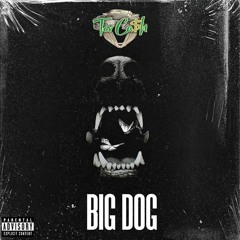 Tev Ca$h - Big Dog