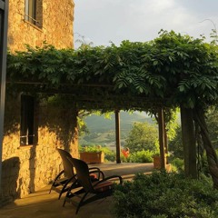 نظم مثلث قطرب للبهنسي - إلقاء أسامة الواعظ