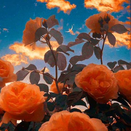 "ill come back to you" ~ chill joji powfu ukulele lofi type beat sap pop rap hip hop instrumental