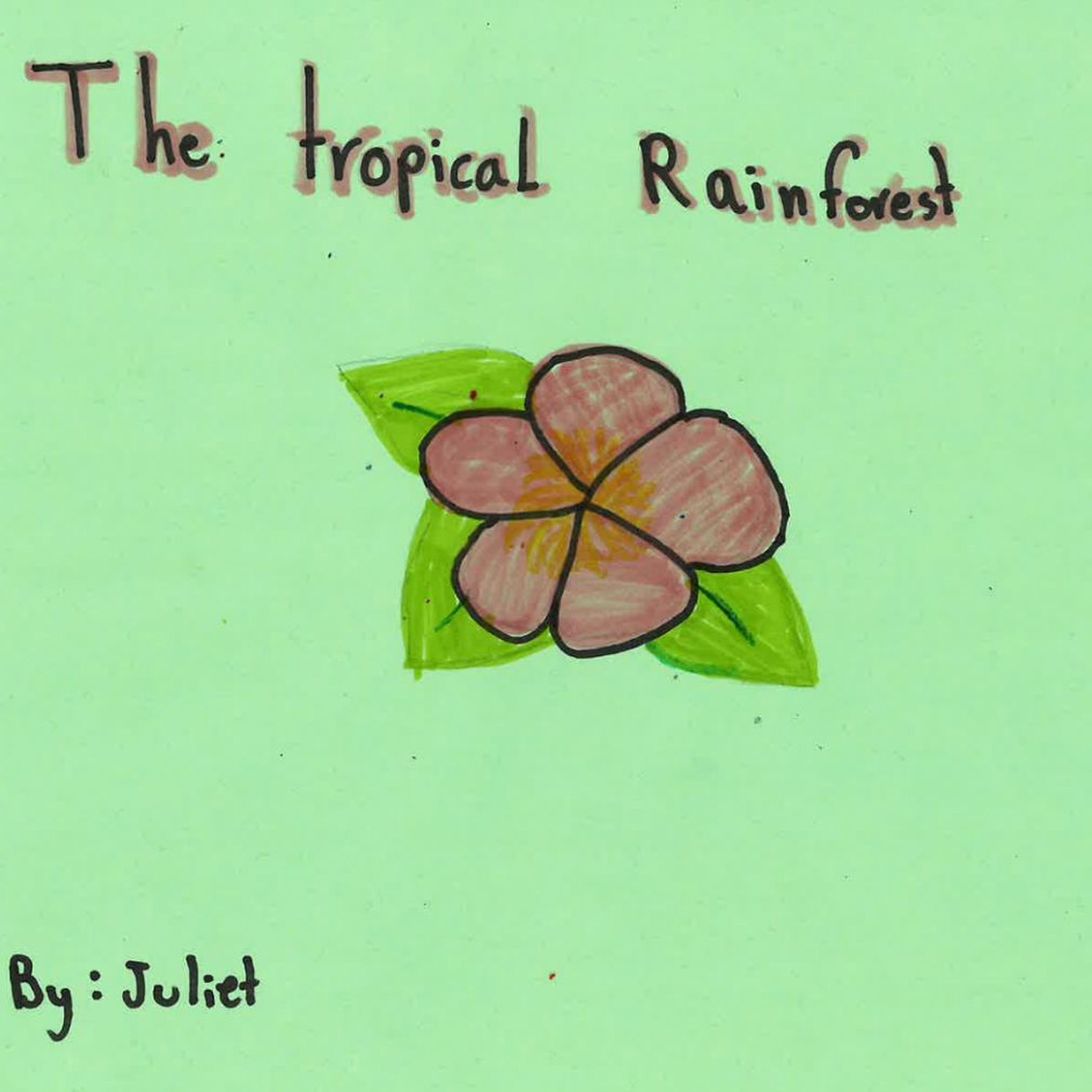 The Tropical Rainforest by Juliet episode artwork