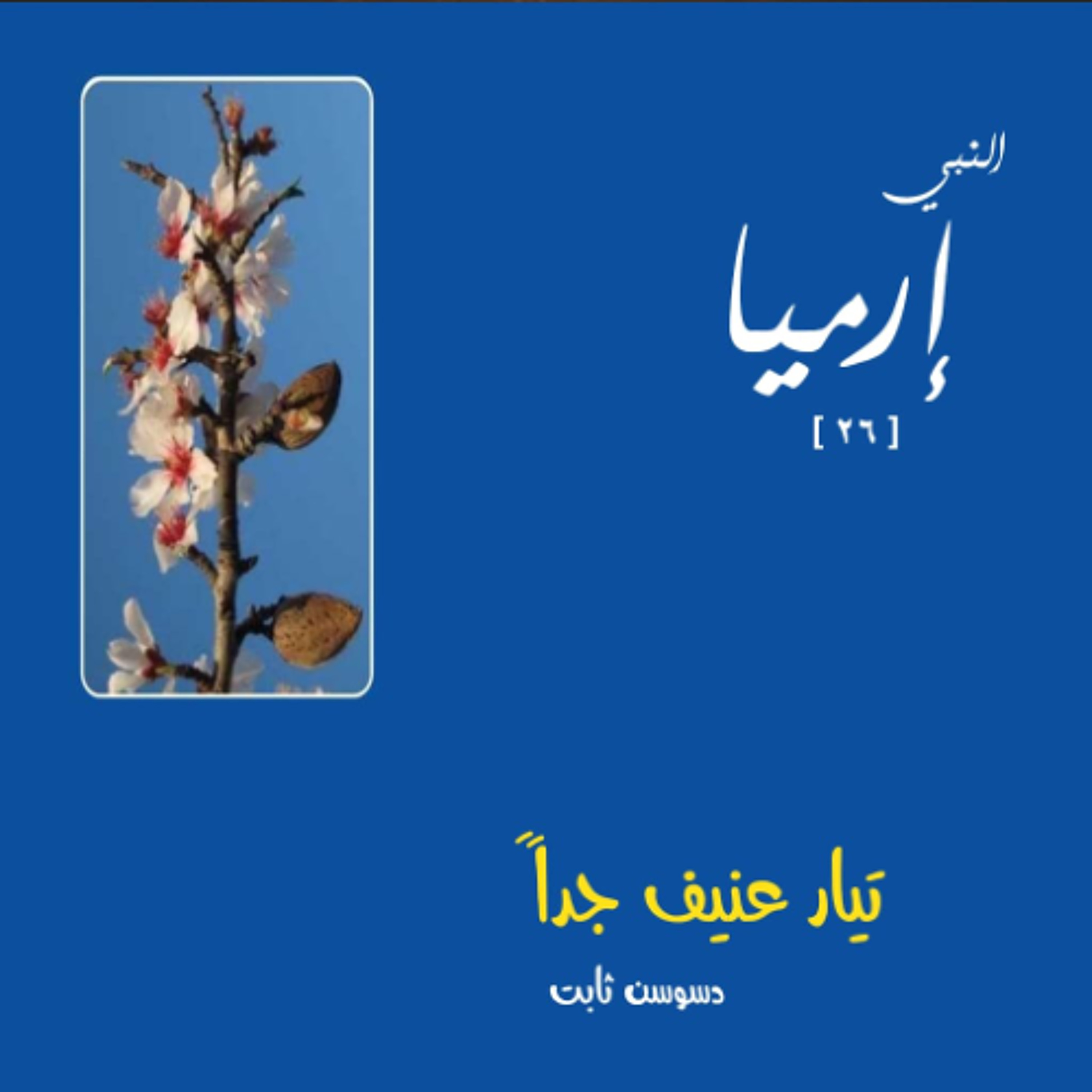 أمينا في القليل والكثير