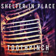 Shelter In Place - featuring : Bess + Accumortis + SpankTheNun