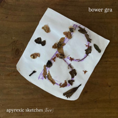 apyrexic sketches (live)