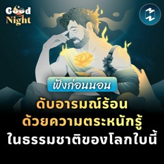 ดับอารมณ์ร้อน ด้วยความตระหนักรู้ในธรรมชาติของโลกใบนี้ #ฟังก่อนนอน | Good Night EP.9