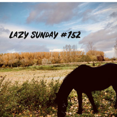 Lazy Sunday # 152