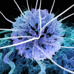 Techno Report May 2023