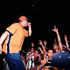 Jungle dere
