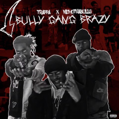 TrappaBabii x NemoThaBully - BalistikBrazy