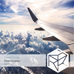 Central Divide - Determination (Original Mix)