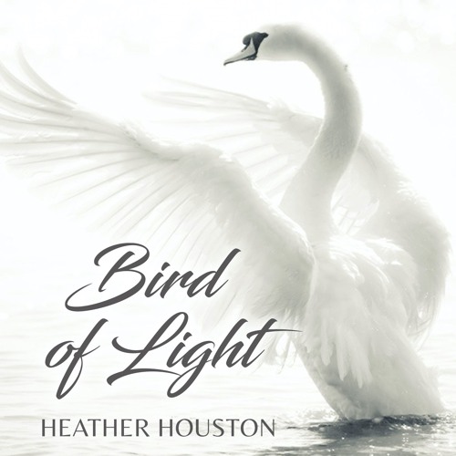 Bird Of Light (Official) - Heather Houston
