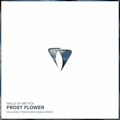 PREMIERE: Walls Of Arctica - Frost Flower (Original Mix) [Agara Music]