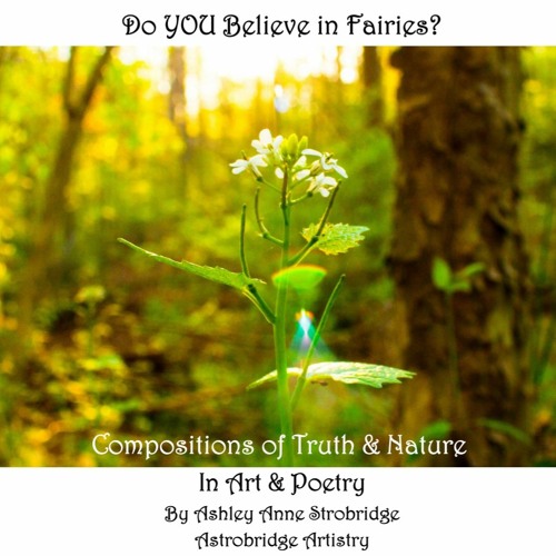 I Do Believe In Fairies