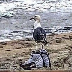 Grit$ & Gravy Ft. KonMan