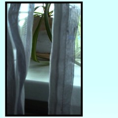 mountain tea - remember