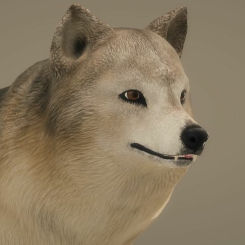 とある謎の民族のような何か