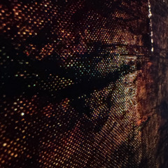 Moo Binga & Senglar - Febrero