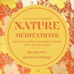 Pir Zia Inayat Khan - Practice: "I Feel Thy Presence" (NM 3)