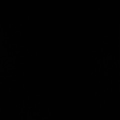 証  /  GO  (FIRSTNAME)