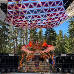 Brain Food - Star Camp Shasta 2024 Live Set