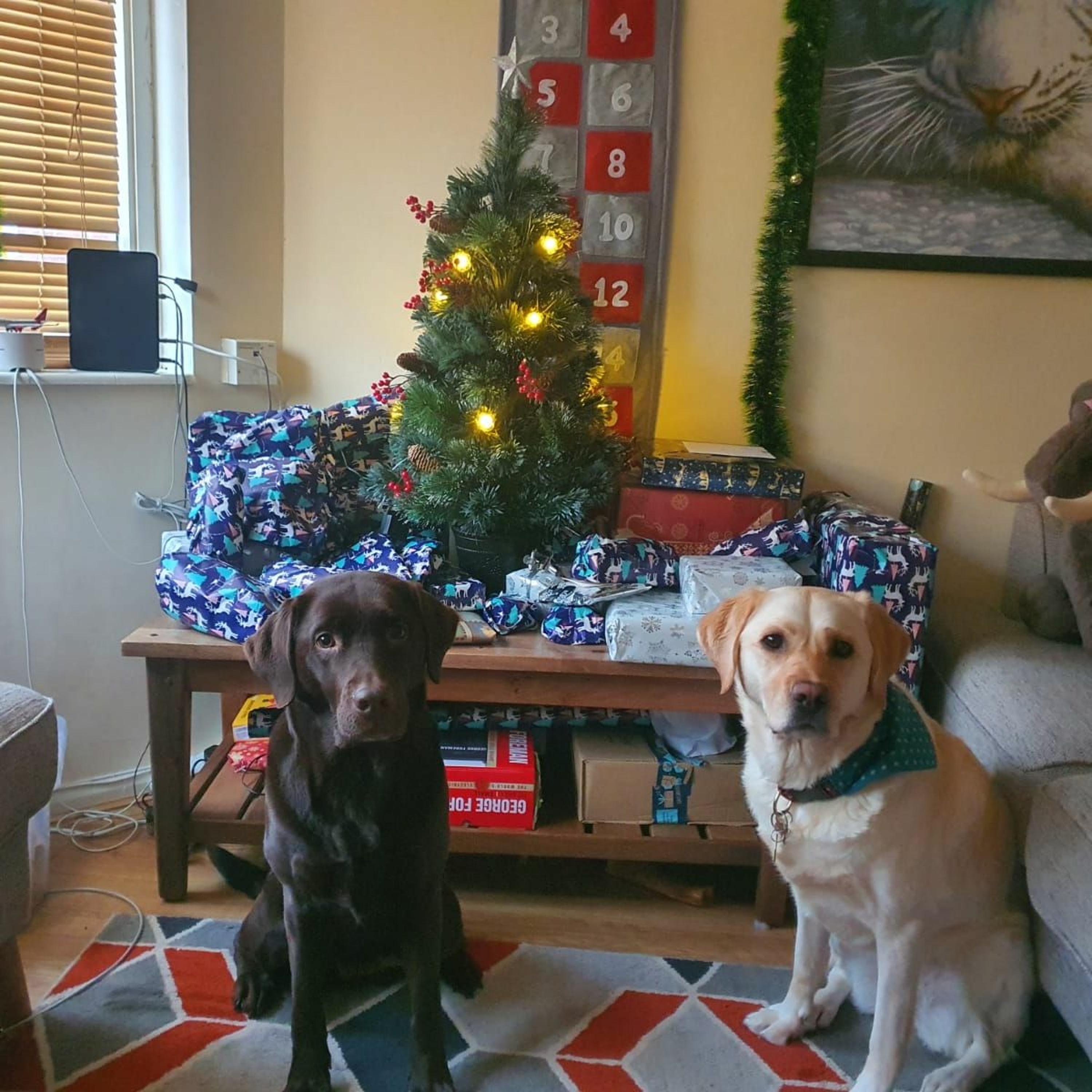 Episode 26 - A 2020 Christmas Special with a Little Something Extra to Get Us in the Festive Mood