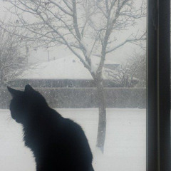 от души) freestyle (prod. @imnotwillusethisagain)