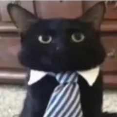 pussy freestyle (Prod. ENRGY Beats)