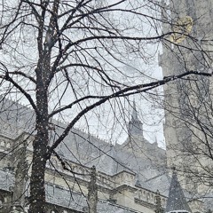 Vanuit huis House 5-1