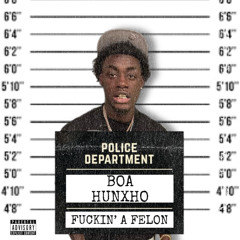 Fuckin A Felon