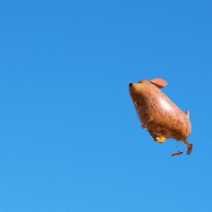 What the Happy Puppy Dreamed of (Full Album)