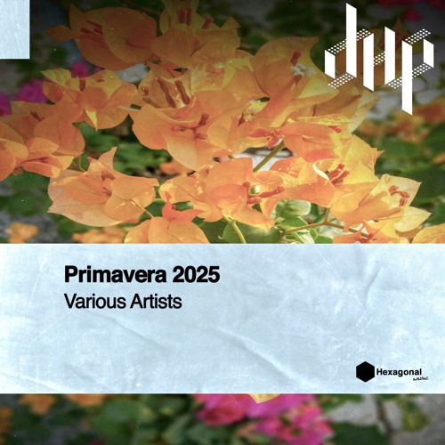 FULL PREMIERE : MEL BELL - Spacewalker [Hexagonal Music]