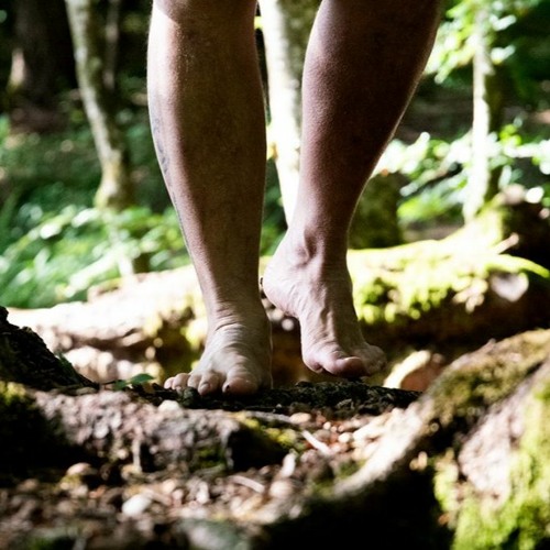 Lass ma' wieder wandern gehn' | Buddha's Relaxing Summer Set | Deep / Ambient Techno | 119 BPM