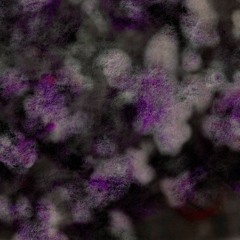 Mutual Tulpa - Something Special