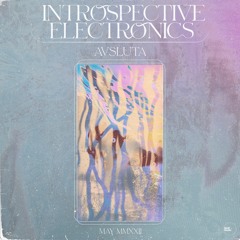 Introspective Electronics w/ Avsluta x Netil Radio | May 22