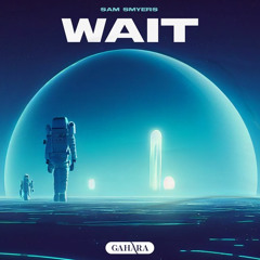 Sam Smyers - Wait (Bagin remix)