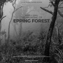 Michael D. Tidwell - The Haunting Of Epping Forest