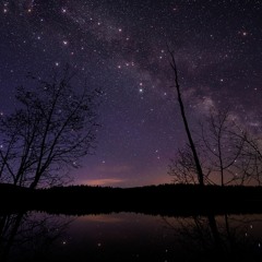 Starlight+