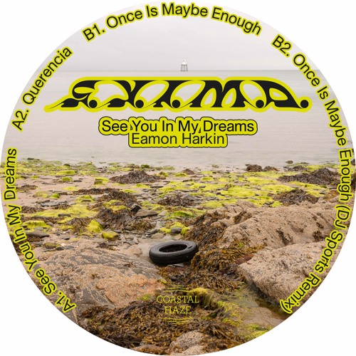 Eamon Harkin - See You In My Dreams