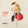 Download Video: Savvas - Golden Sunset (Flowers On Monday Remix)