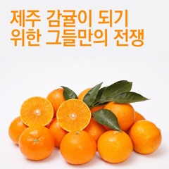 제주