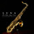 Artwork for Luna (Live Latin Jazz Performance)