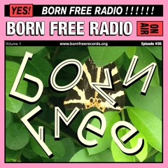 Mayurashka (Born Free Radio 36)