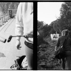 Buzzing Against Collapse