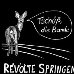 Revolte Springen - Hinter den Barrikaden