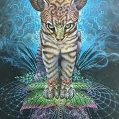 2022_Tribute to oCeLoT Sound Universe Pt. 2_Day