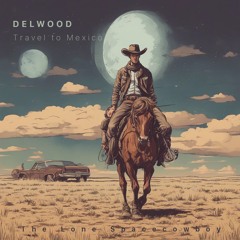 DELWOOD - Travel to Mexico