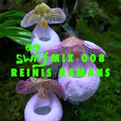 SWAYMIX 008 - Reinis Ramans